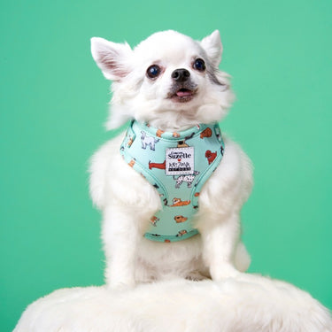 Harnais pour chien en H - Coucou Suzette